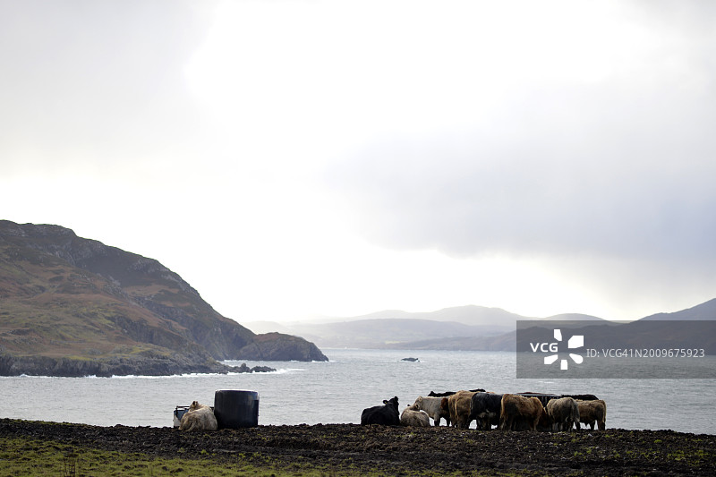 宁静的牧场图片素材