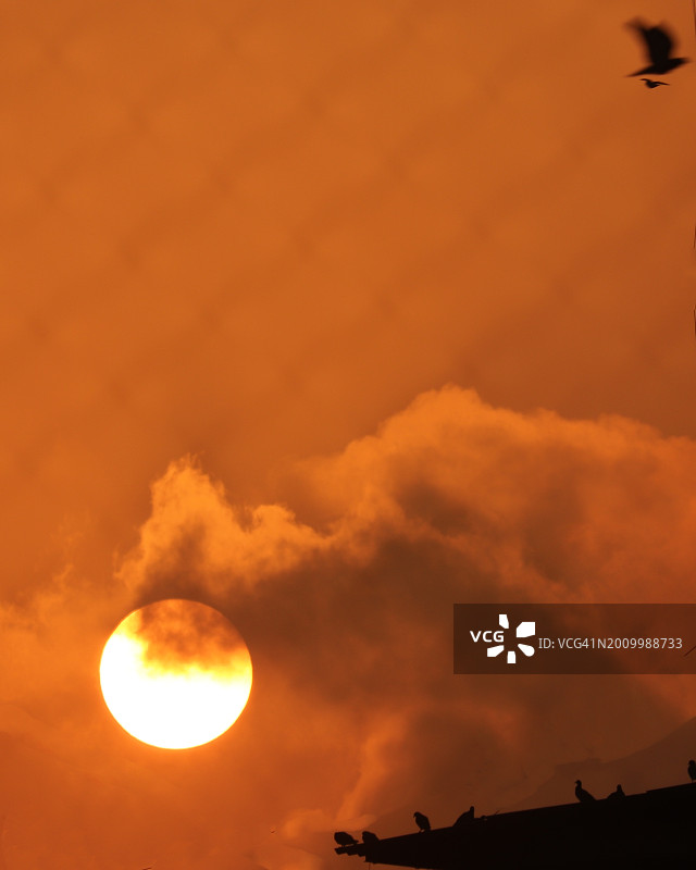 孟买日出，云彩与剪影鸟群图片素材