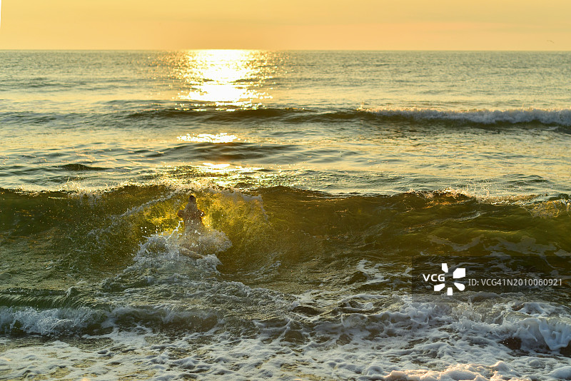 狗狗在日出时于海中游泳，嘴里叼着树枝图片素材