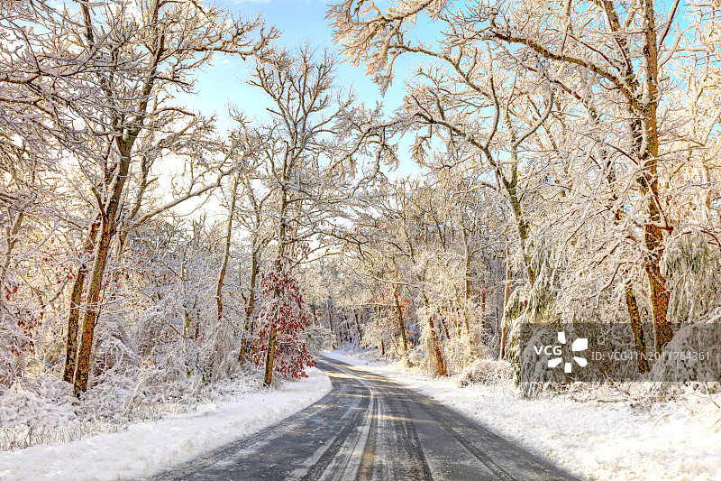 科德角上的冬季公路图片素材