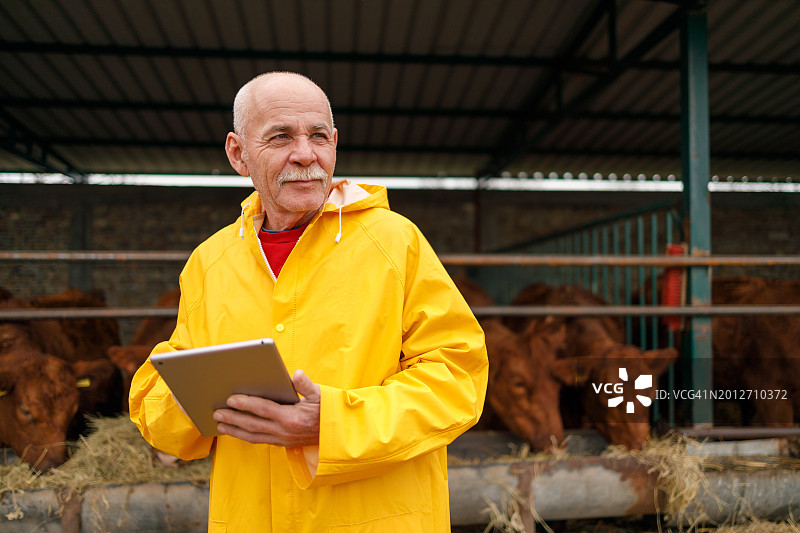 农民评估牲畜数据图片素材
