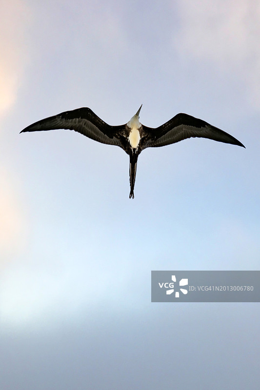 低角度拍摄的护卫舰飞行影像图片素材