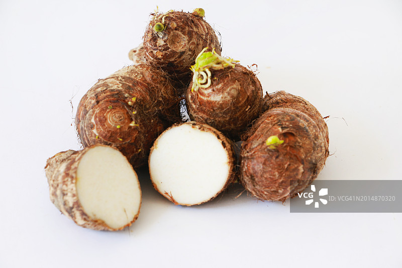 发芽的芋头根图片素材