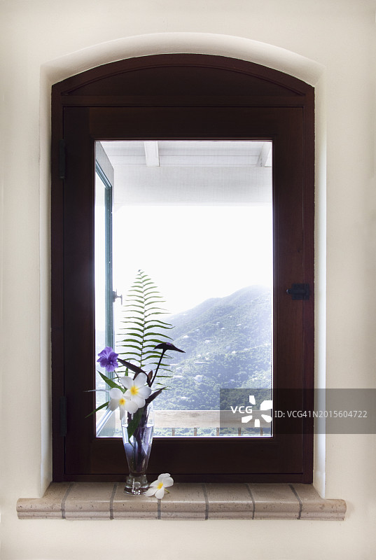 窗边花瓶里的热带花卉图片素材