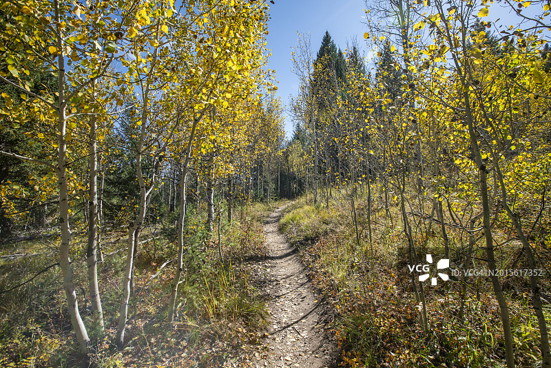美国爱达荷州太阳谷秋季远足径图片素材