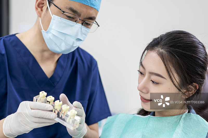 牙医手持牙齿模型图片素材