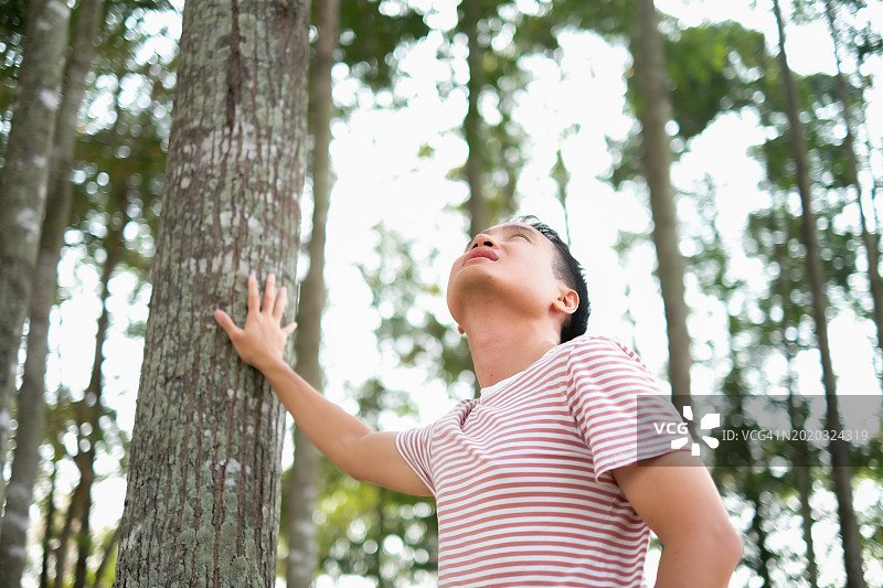 年轻的亚洲男人走进森林，仰望天空，感受清新，手臂倚靠树木，感受自然、风和阳光，意识到自然的重要性。图片素材