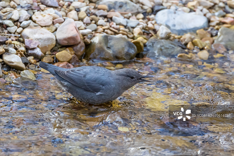 召唤北斗星图片素材