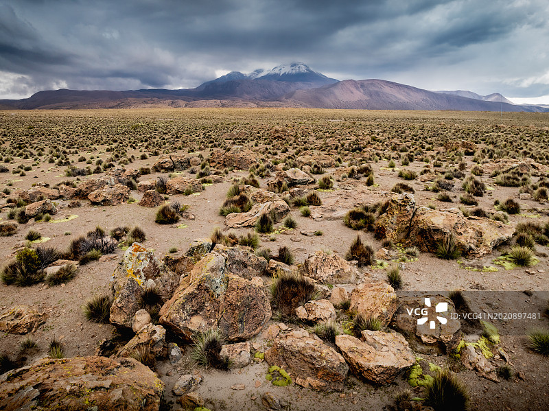 拉斯维库尼亚斯国家保护区图片素材
