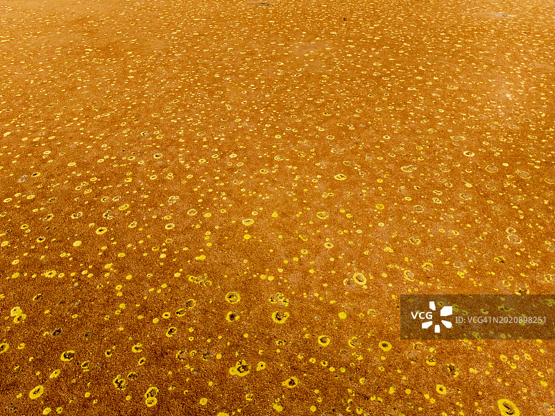 苏里雷盐滩图片素材