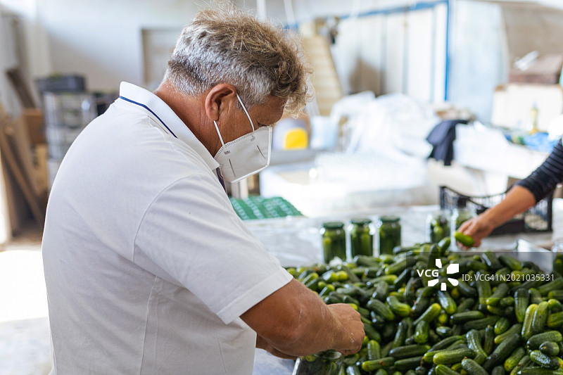 成熟工人在装黄瓜罐头图片素材