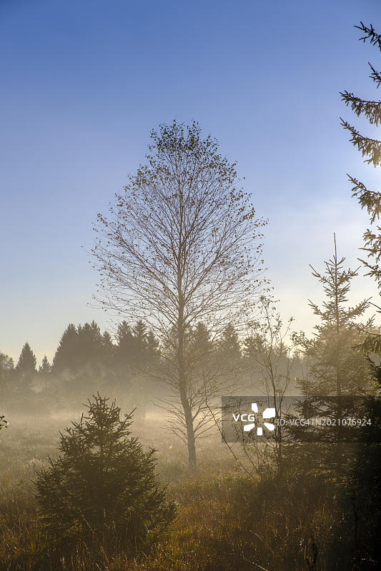 德国基尔希湖雾中日出图片素材