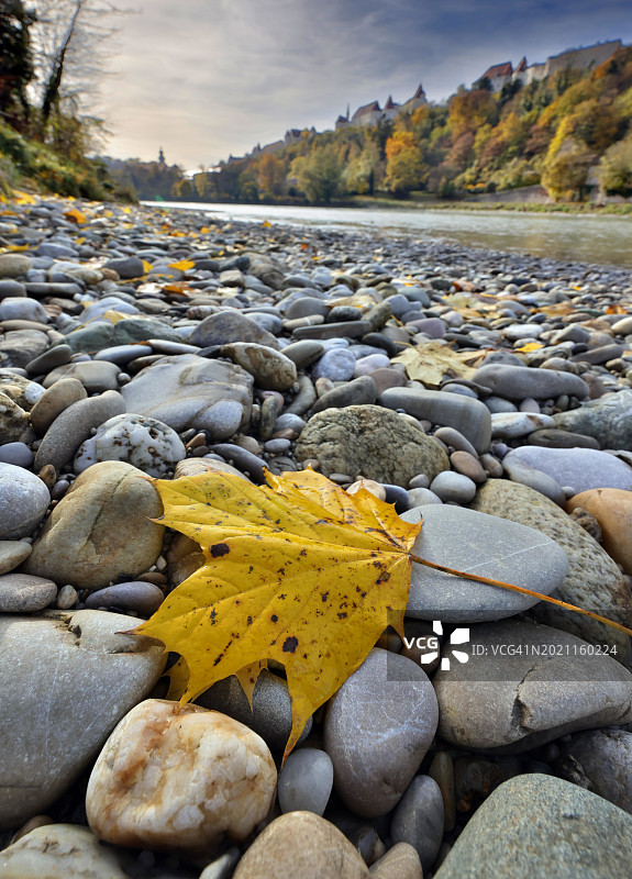 秋季河岸灰色石头上的黄色枫叶，背景是城堡，德国巴伐利亚图片素材