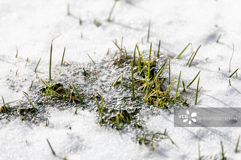 草坪解冻图片素材