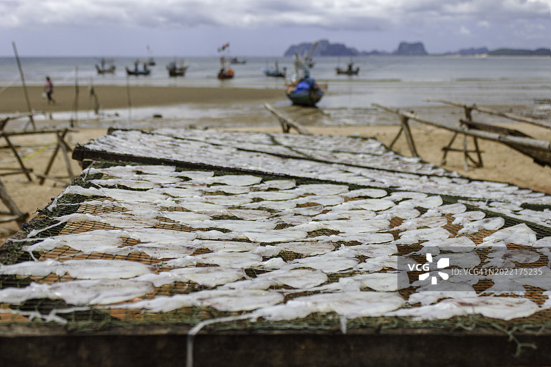 泰国巴蜀府邦博渔村晾晒小鱿鱼特写图片素材