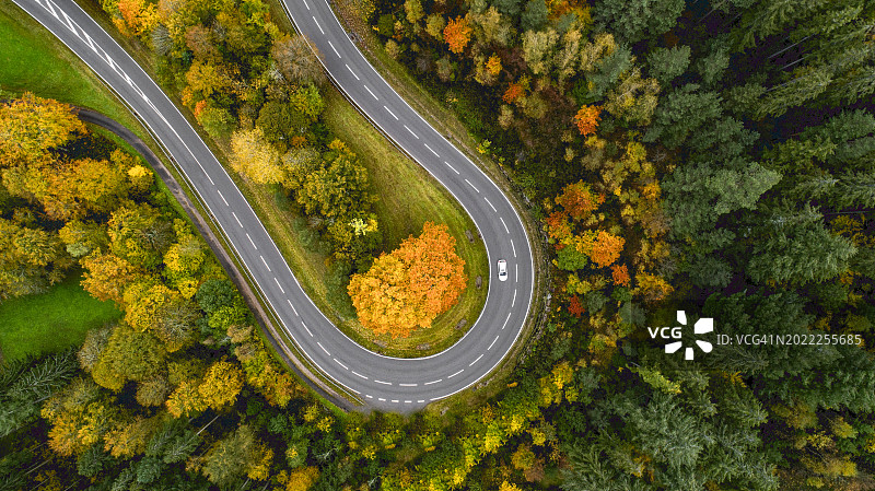 秋季森林中的乡村公路俯视图图片素材