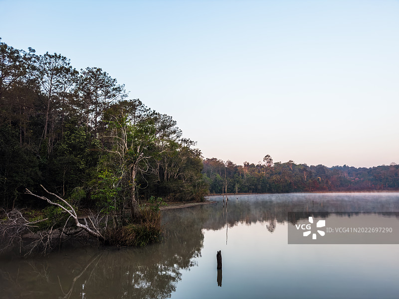 森林中的天然池塘图片素材