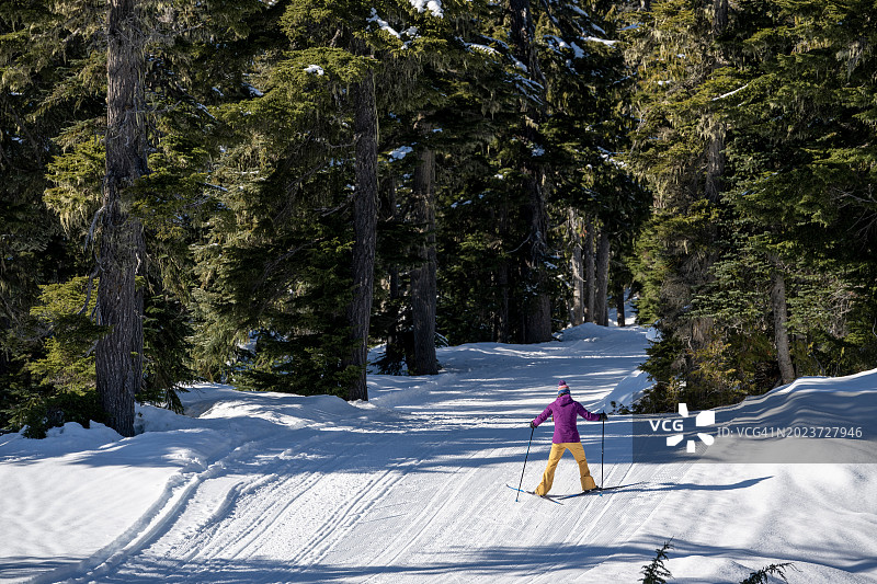 滑雪者穿过森林中的雪道图片素材