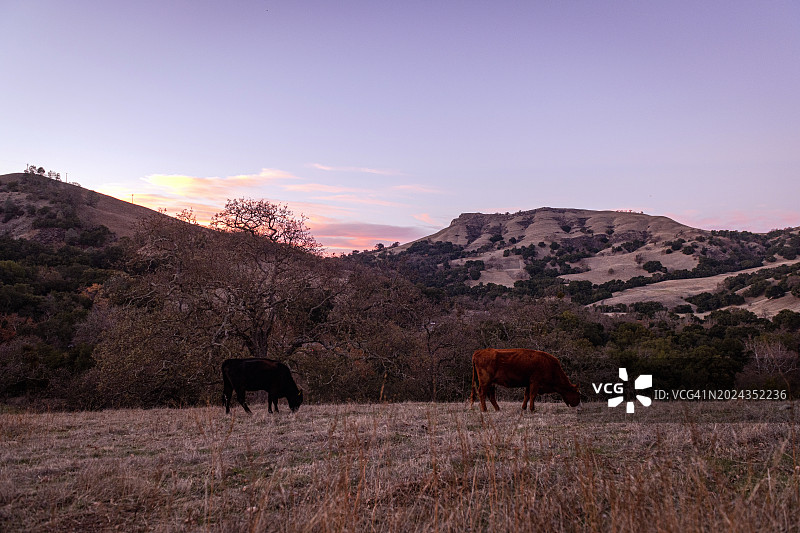索诺尔荒野地区保护区日落图片素材