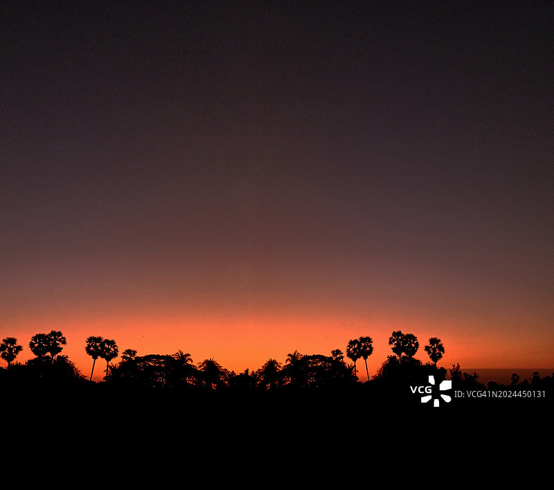 树木纹理绿色树叶背景：树皮、树干、粗糙表面和蓝天暗云图片素材