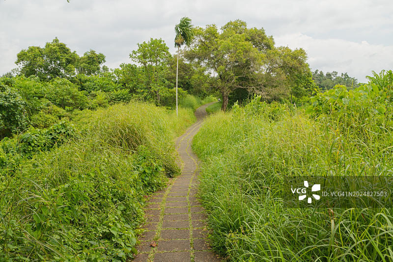Campuhan Ridge Walk, 巴厘岛山脊小径风光图片素材