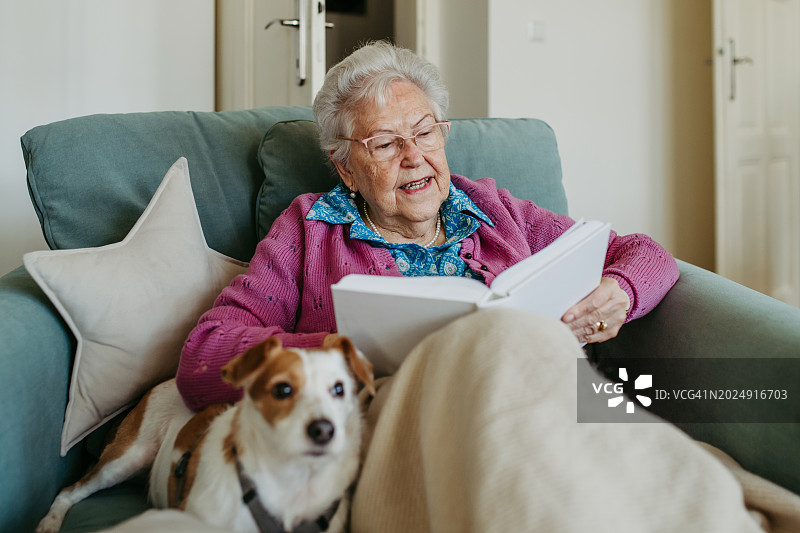 老年妇女在扶手椅上看书，狗躺在她身边。狗是老年人的伴侣图片素材