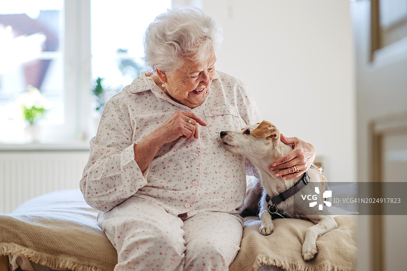 穿着睡衣坐在床上抚摸她的狗的老年妇女，可爱的狗躺在老年主人旁边，狗是老年人的伴侣图片素材