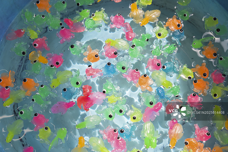 漂浮在水上的玩具金鱼图片素材
