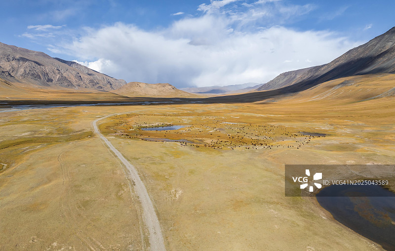 布尔罕山谷鸟瞰图，一群绵羊，贫瘠的戏剧性山地景观，捷斯凯阿拉套，天山，伊塞克湖省，吉尔吉斯斯坦，亚洲图片素材