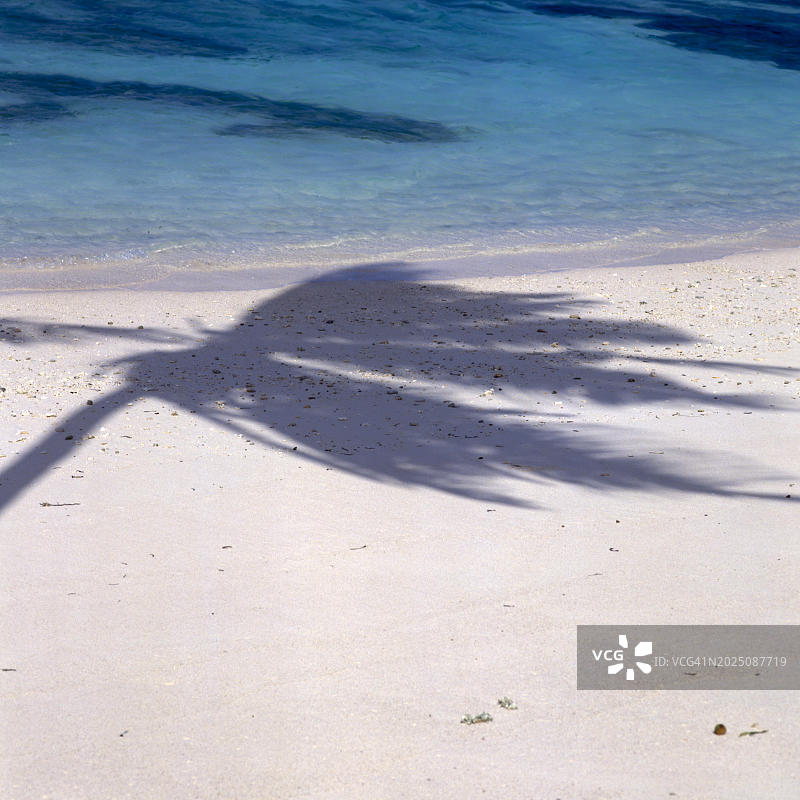 塞舌尔拉迪格岛海滩上的椰子树阴影图片素材