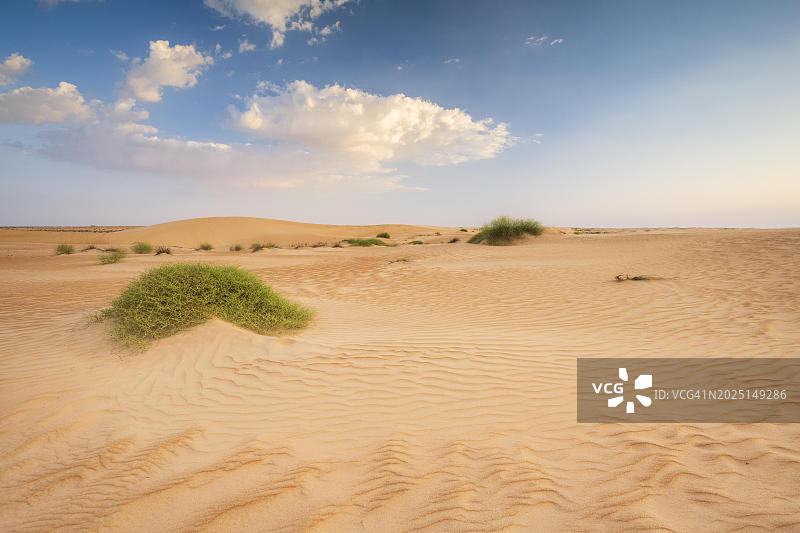 瓦希巴沙沙漠沙丘，沙奇亚沙地，阿曼，亚洲图片素材