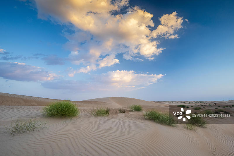瓦希巴沙沙漠沙丘，沙奇亚沙地，阿曼，亚洲图片素材