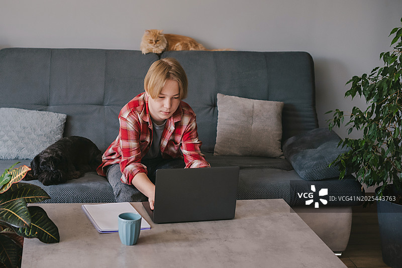 远程学习在线教育，学生在家使用笔记本电脑在床上学习，宠物相伴图片素材