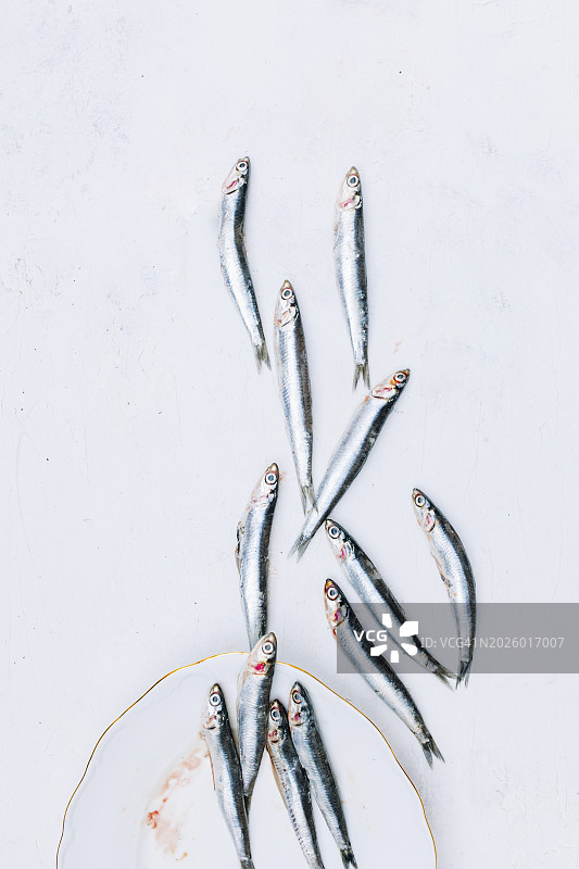 新鲜沙丁鱼离开餐盘的概念图图片素材