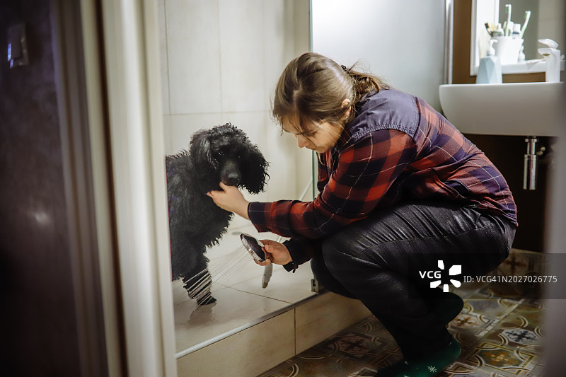 关怀的姿态：大码女人在散步后在淋浴中清洗黑色贵宾犬的爪子图片素材