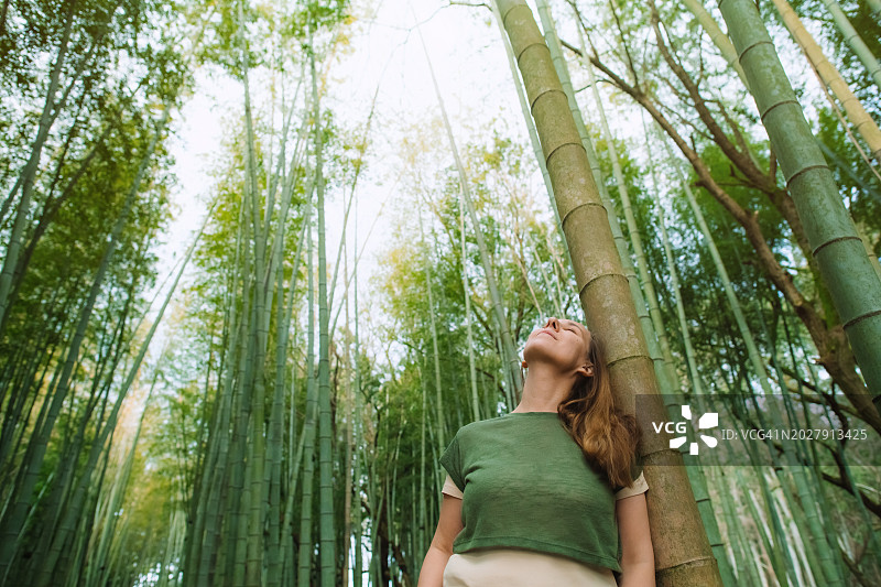 竹林里的女人图片素材