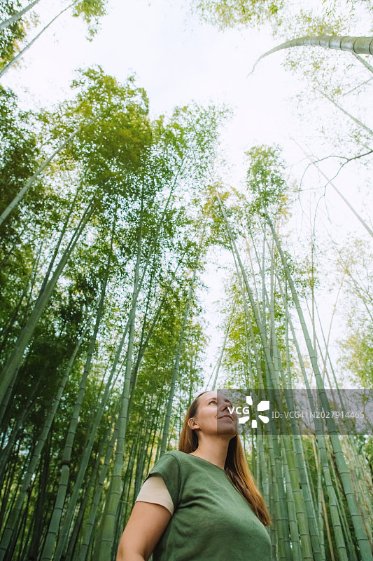 竹林里的女人图片素材