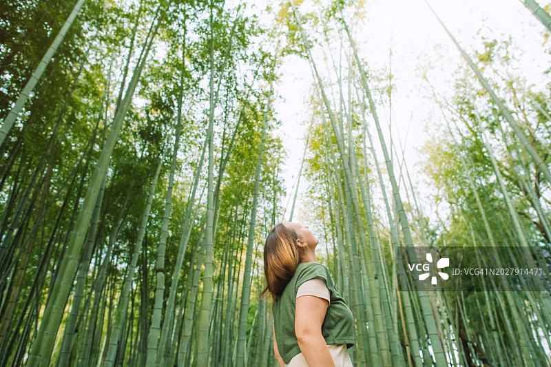 竹林里的女人图片素材