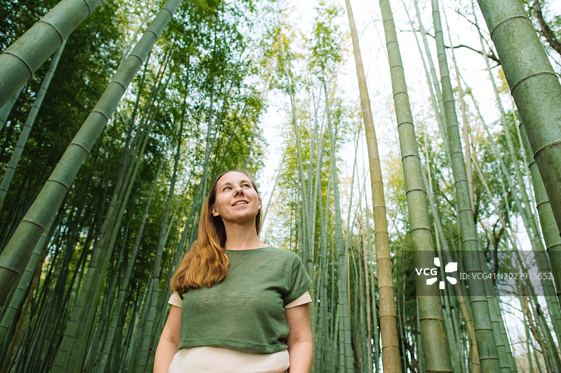 竹林里的女人图片素材