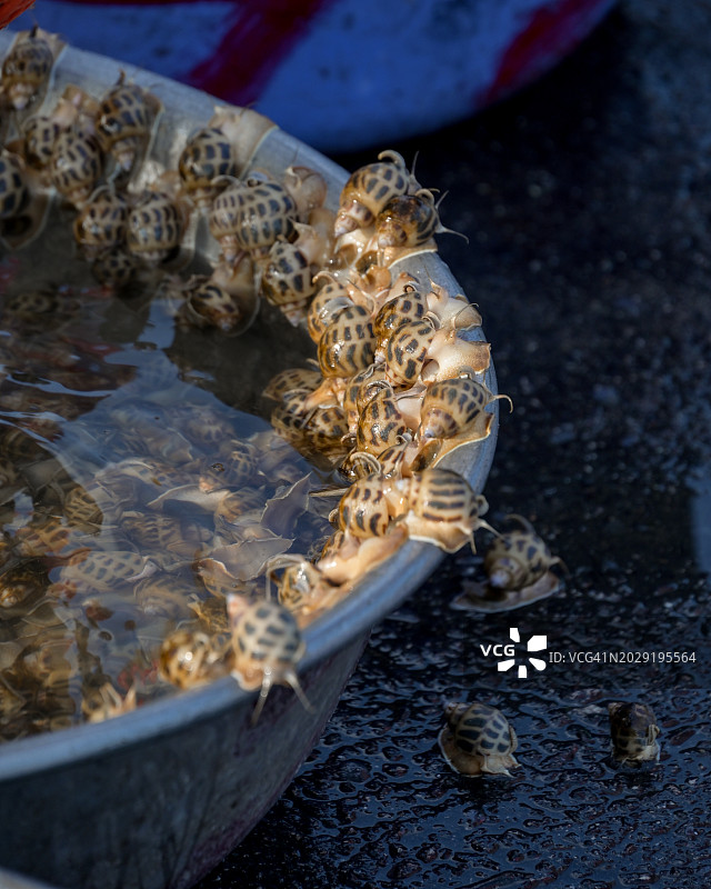 市场上的传统海鲜图片素材