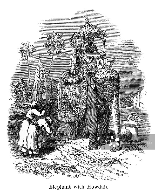 带轿的象古老雕刻插图图片素材
