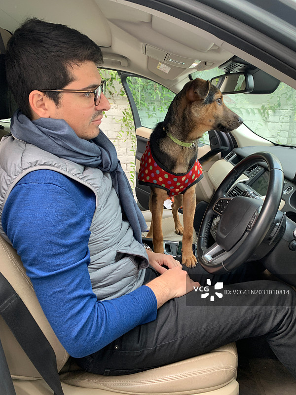 男人和狗坐在汽车驾驶座上的画像图片素材
