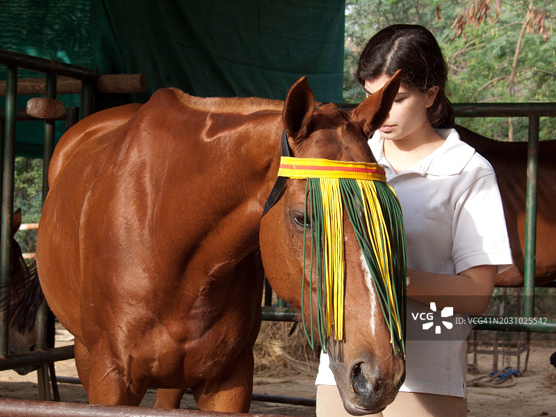在印度新德里，年轻女子在动物围栏里梳理她的马图片素材