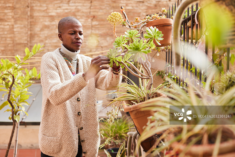 园艺疗法：患癌妇女在家照料庭院植物图片素材