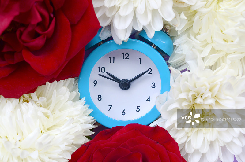 鲜花丛中的闹钟特写图片素材