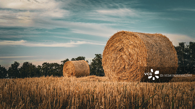 天空衬托下的田野风景图片素材