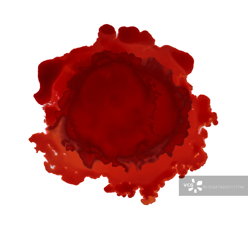 白色背景上的血分子切片图片素材