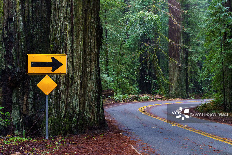树木背景下的路标特写，斯科舍，加利福尼亚州，美国图片素材