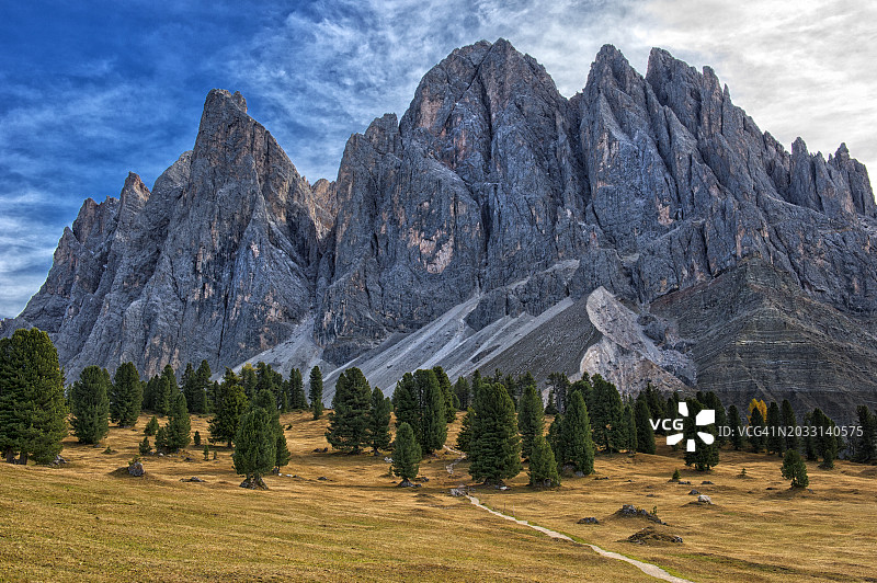 田野上松树的全景图片素材