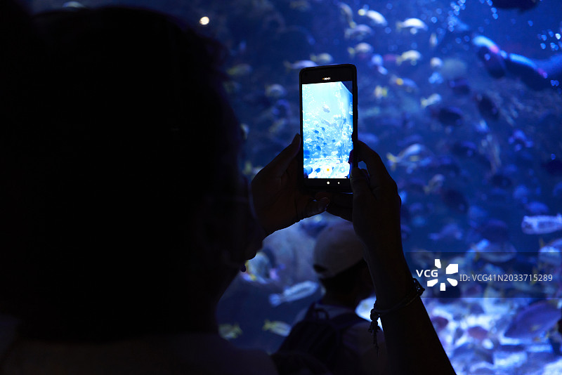 游客在瓦伦西亚海洋馆用手机拍摄鱼类展览图片素材